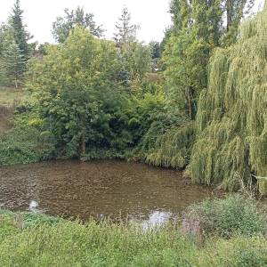 IMG_20240908_104710_original